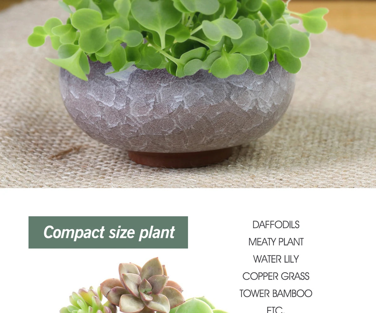 3x6cm Glazed Mini Ceramic Flowerpot for Garden Yard Living Room Indoor Balcony Succulent Flower Planting Pot Desktop Decoration