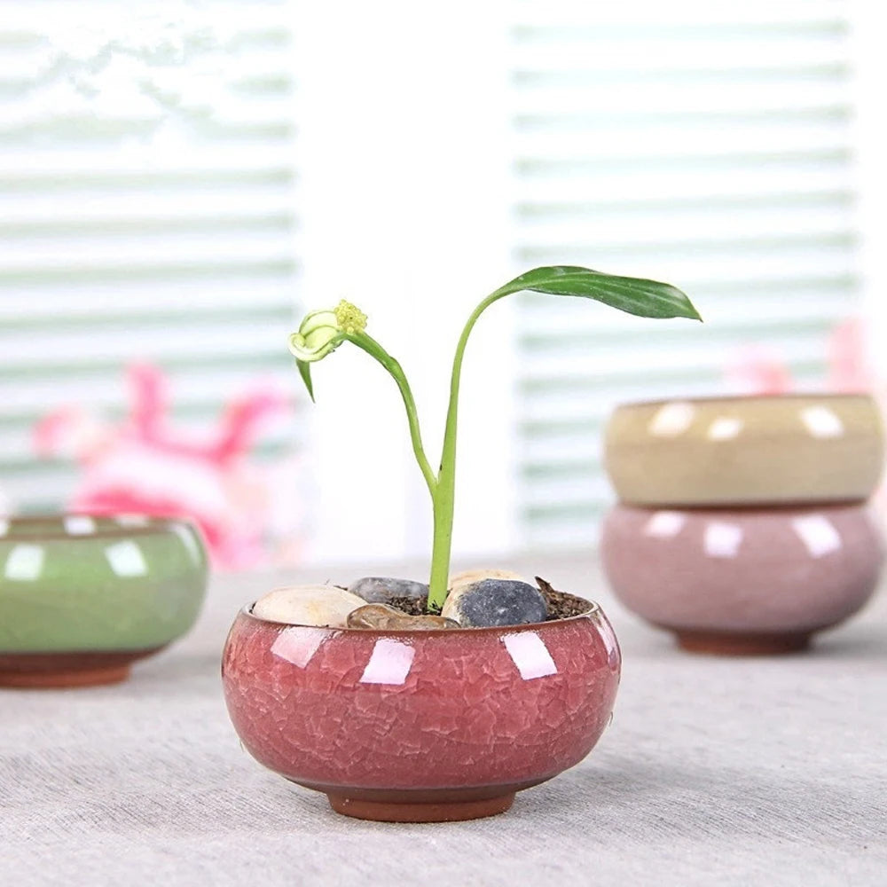 3x6cm Glazed Mini Ceramic Flowerpot for Garden Yard Living Room Indoor Balcony Succulent Flower Planting Pot Desktop Decoration